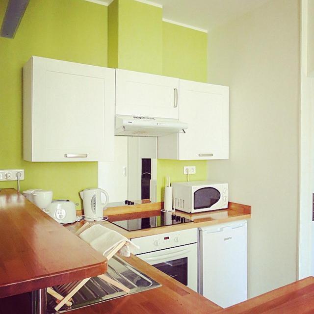 Barla 3 - A Spacious One Bedroom Apartment Near Place Garibaldi Nisa Exterior foto