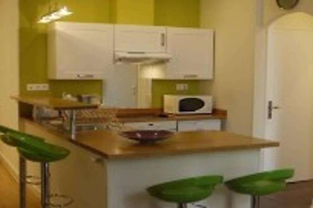 Barla 3 - A Spacious One Bedroom Apartment Near Place Garibaldi Nisa Exterior foto