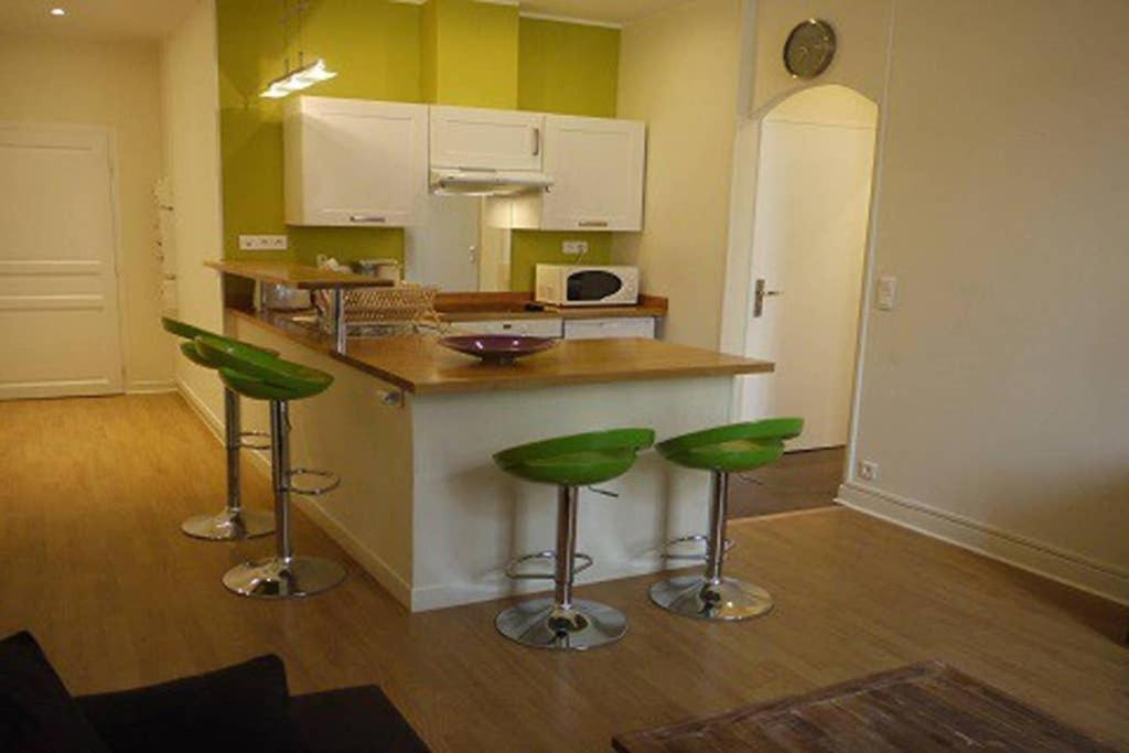 Barla 3 - A Spacious One Bedroom Apartment Near Place Garibaldi Nisa Exterior foto